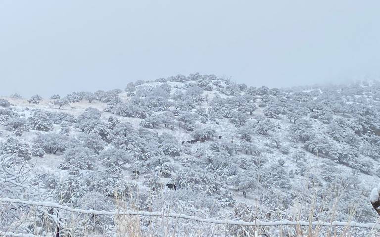 Frente frío 8 podría dejar nevadas y lluvia engelante en Chihuahua