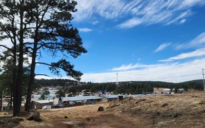 Traerá Frente Frío 11 hasta 7 grados bajo cero en la sierra - El Sol de  Parral