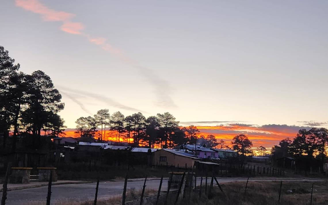 Traerá Frente Frío 11 hasta 7 grados bajo cero en la sierra - El Sol de  Parral