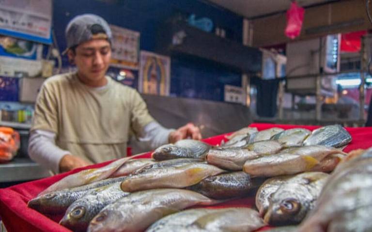 Invita Conapesca a consumir pescados y mariscos durante Cuaresma - El Sol  de Parral | Noticias Locales, Policiacas, sobre México, Chihuahua y el Mundo