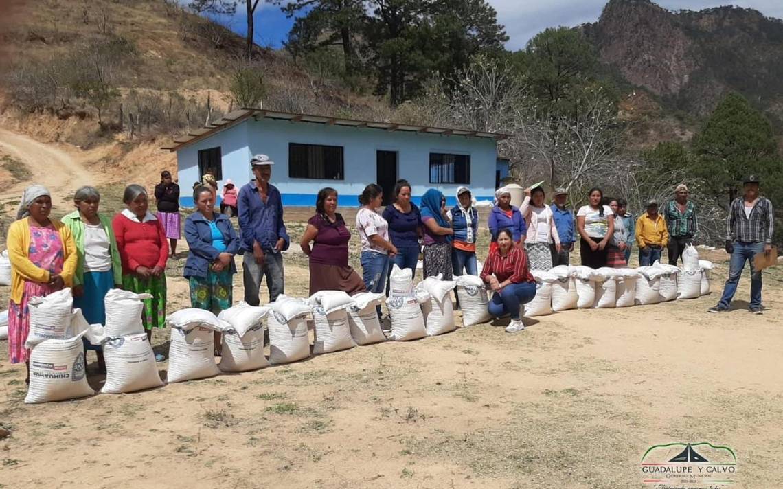 Casi 30 Comunidades De Guadalupe Y Calvo Son Beneficiadas Con Maíz Y Frijol El Sol De Parral