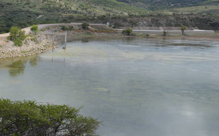 Presas Pico de Águila y San Gabriel están al 30 % de su capacidad noticias  de parral chihuahua agua presas sader agricultura campesinos agua de riego  hectáreas lluvias - El Sol de
