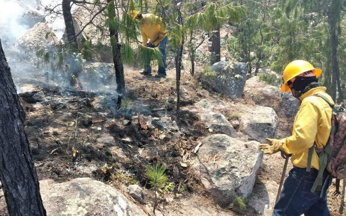 Refuerzan Brigadistas Del Estado Labores De Combate Por Incendios En La ...